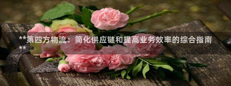 28圈相信品牌的力量：**第四方物流