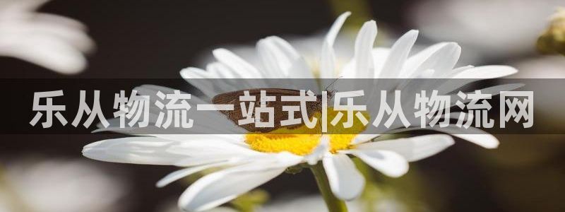 28圈黑款：乐从物流一站式|乐从物流