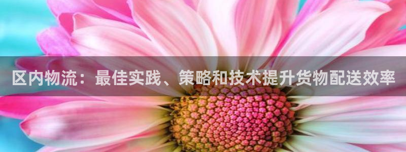 28圈模拟器在线玩：区内物流：最佳实