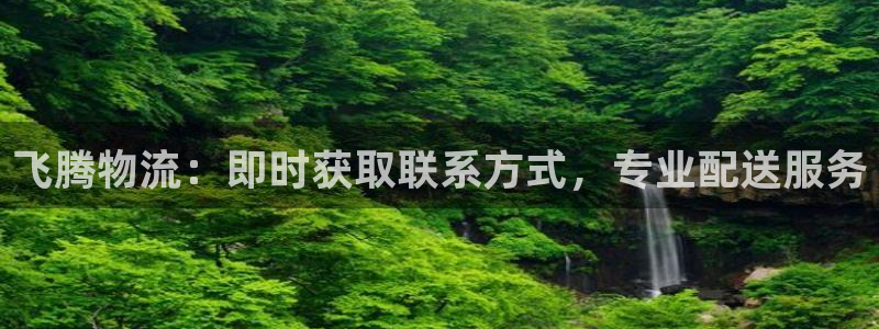28圈官方版正版：飞腾物流：即时获取