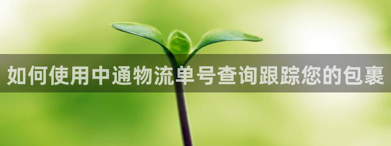 28圈登录不上咋回事：如何使用中通物