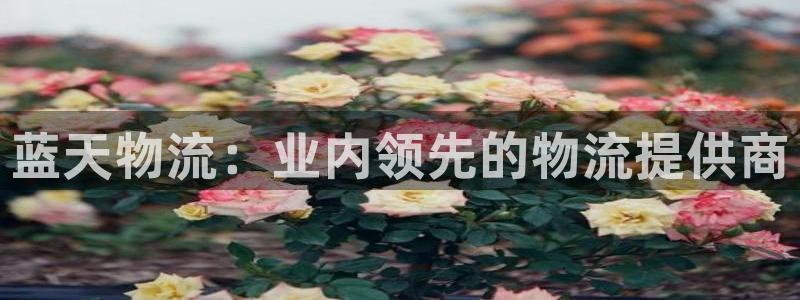 28圈怎么下载不了：蓝天物流：业内领