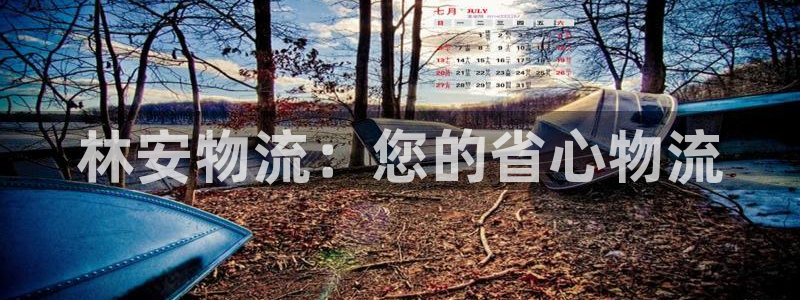 28圈注册条件：林安物流：您的省心物