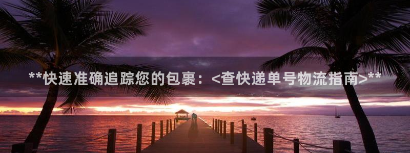 28圈模拟：**快速准确追踪您的包裹