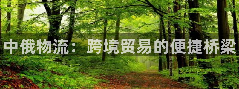 28圈.ccmpc正版