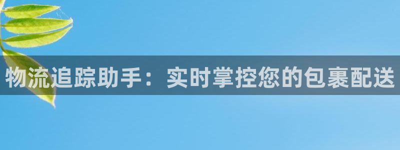 28圈电子游戏：物流追踪助手：实时掌