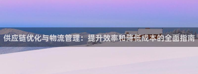 28圈怎么下载不了：供应链优化与物流