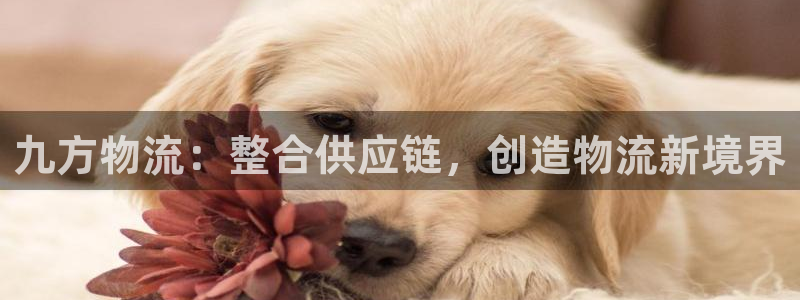 28圈链接：九方物流：整合供应链，创