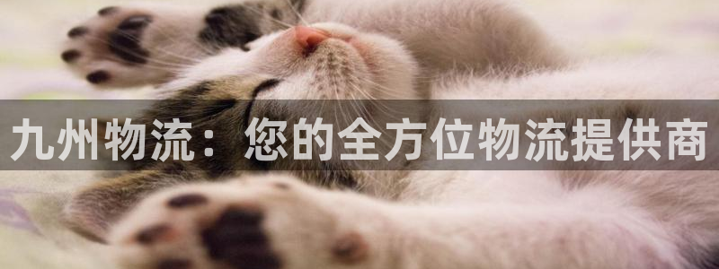 28圈预测