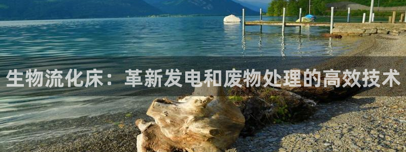 28圈pc预测：生物流化床：革新发电
