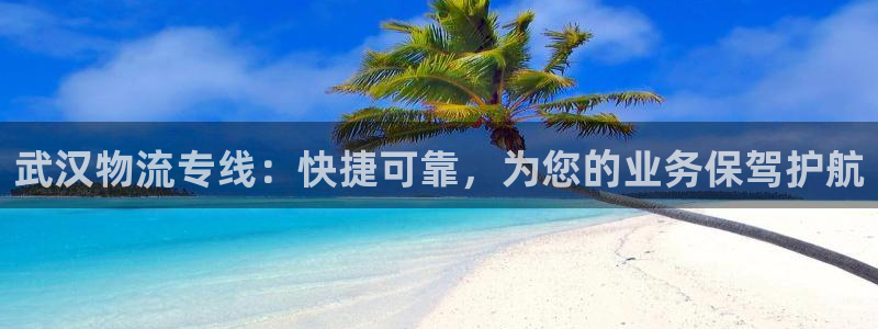 28圈加拿大能提现吗：武汉物流专线：