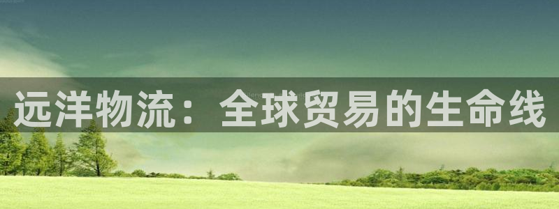 28圈pg麻将胡了：远洋物流：全球贸