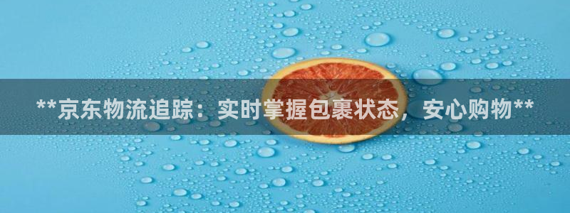 28圈登陆网：**京东物流追踪：实时