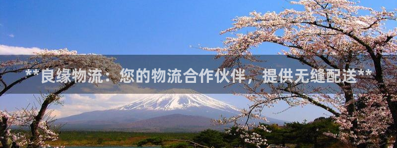 28圈注册登录流程：**良缘物流：您