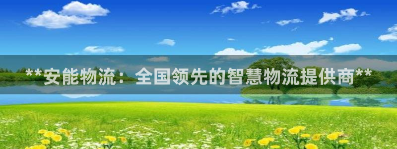 28圈吧：**安能物流：全国领先的智
