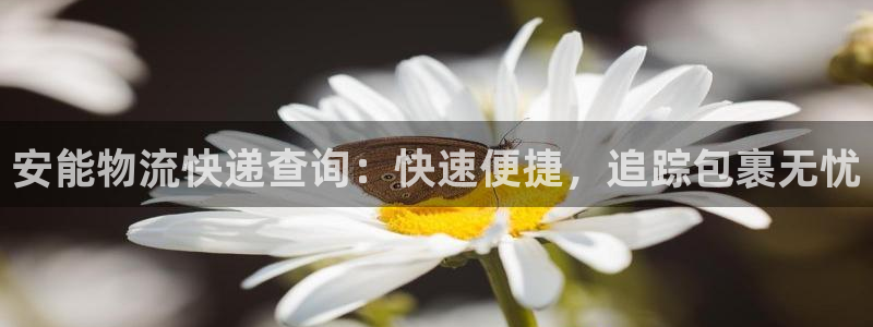 加拿大28圈注册链接：安能物流快递查