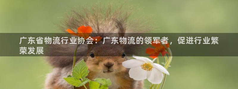 28圈注册链接教程：广东省物流行业协