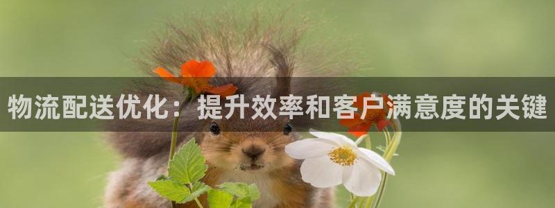 28圈注册登录链接：物流配送优化：提