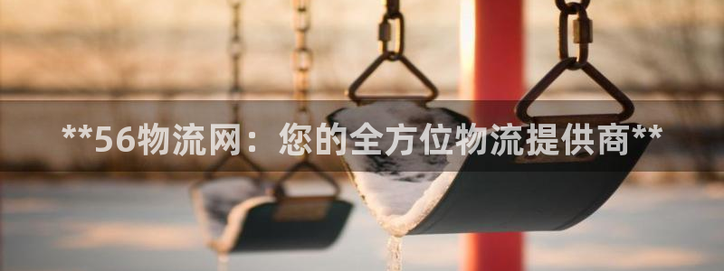 28圈预测加拿大师准：**56物流网