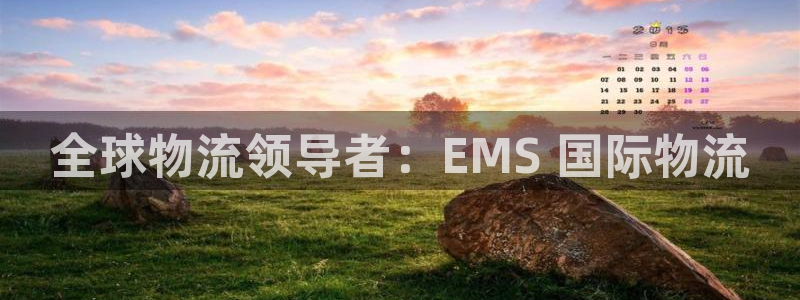 28圈app注册地址：全球物流领导者