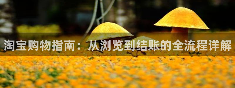 28圈加拿大6.0