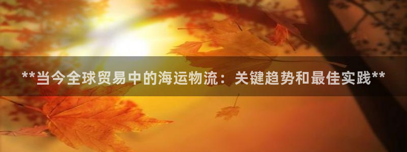28圈.ccm2024：**当今全球