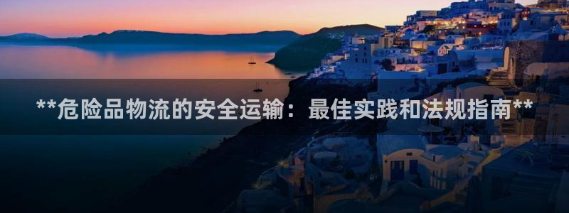 28圈人头费：**危险品物流的安全运