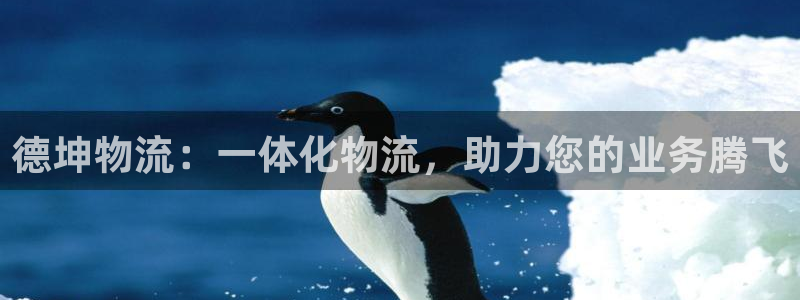 28圈激活码：德坤物流：一体化物流，