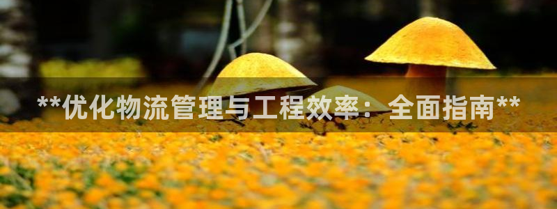 28圈模拟器：**优化物流管理与工程