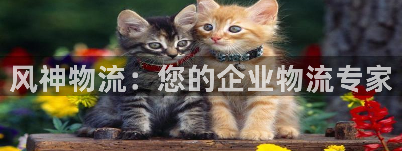 28圈.ccmapp：风神物流：您的