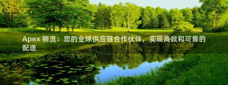 28圈注册网站多少钱：Apex 物流