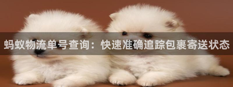 28圈p扣除：蚂蚁物流单号查询：快速
