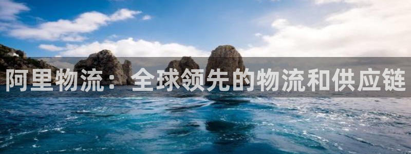 28圈能提现吗：阿里物流：全球领先的