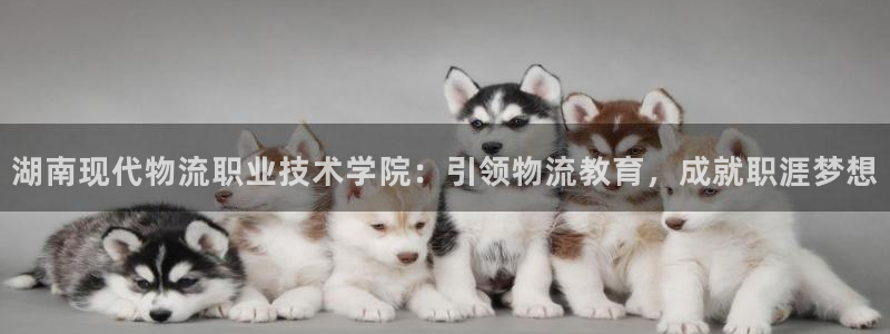 28圈官网版2024：湖南现代物流职