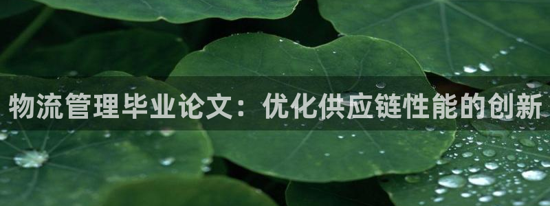 28圈电子：物流管理毕业论文：优化供