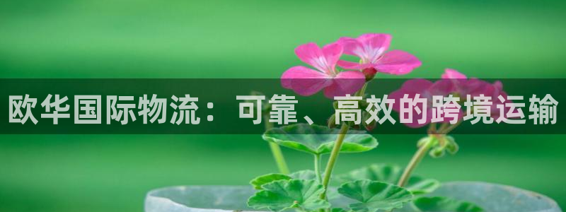 南宫28圈官网版：欧华国际物流：可靠