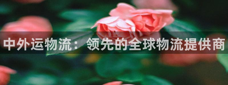 28圈退款