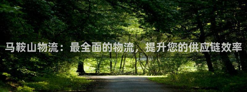 28圈加拿大