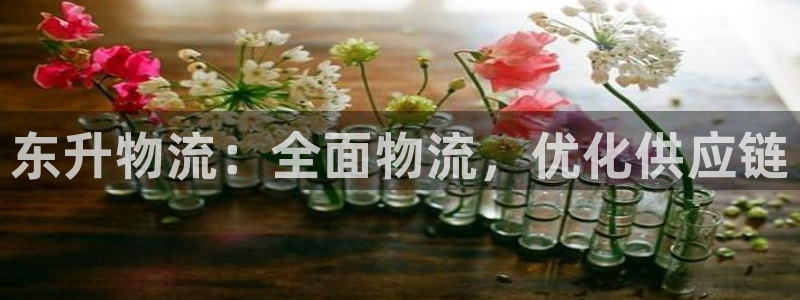 28圈黑款：东升物流：全面物流，优化