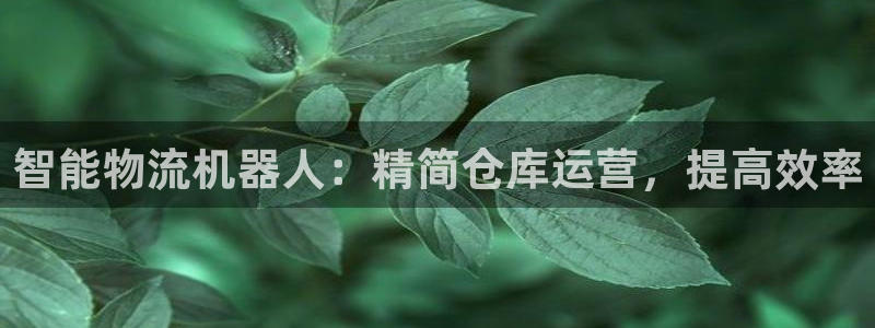 28圈加拿大技巧：智能物流机器人：精
