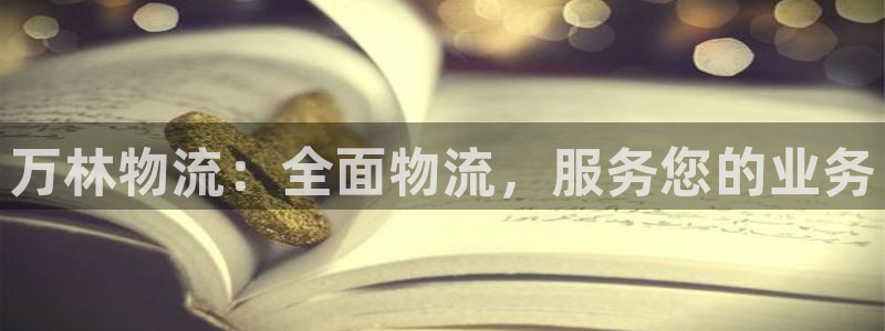 28圈官网注册：万林物流：全面物流，