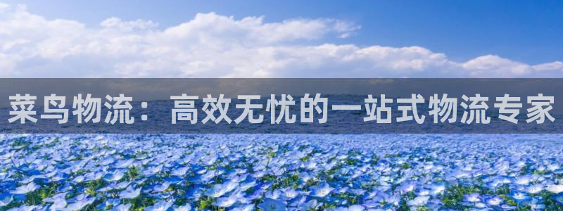 28圈软件是什么