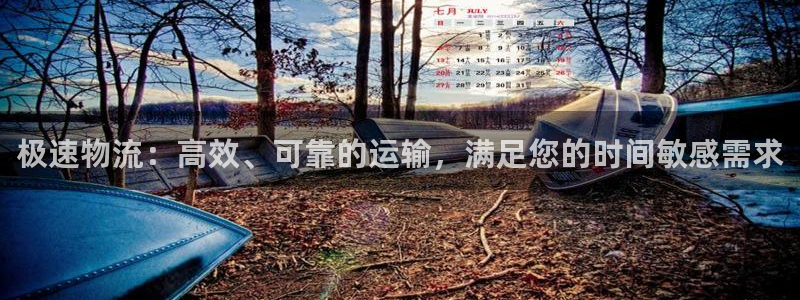 28圈推广链接是多少：极速物流：高效