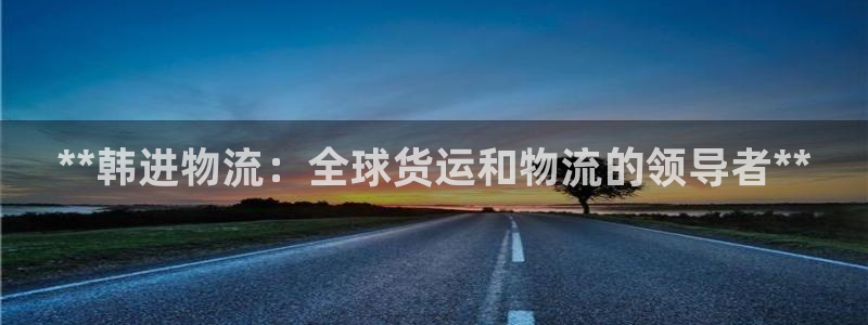 南宫28圈官网版：**韩进物流：全球