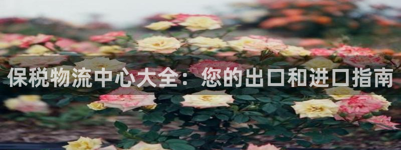 28圈pg麻将胡了：保税物流中心大全