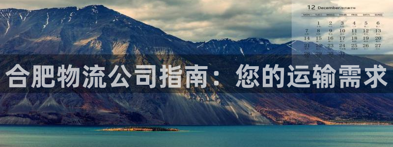28圈平台注册：合肥物流公司指南：您
