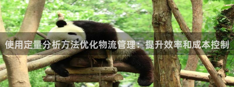 28圈相信品牌的力量