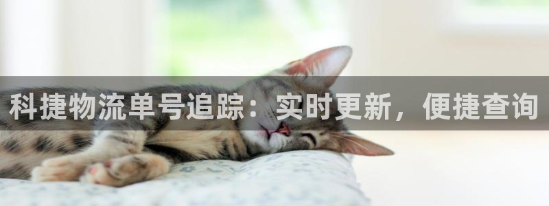 28圈app注册地址：科捷物流单号追