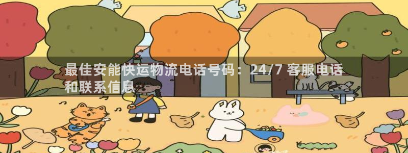 28圈能赢钱吗：最佳安能快运物流电话
