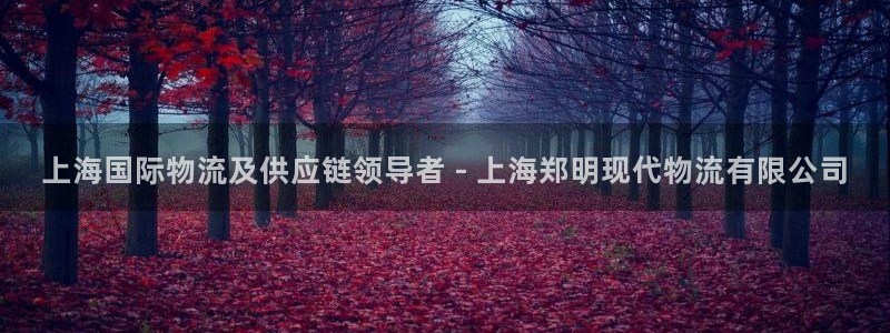28圈怎么下载教程：上海国际物流及供